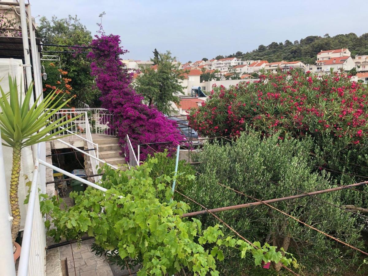 Cozy New Flat For 2 Or 3 Leilighet Hvar Town Eksteriør bilde