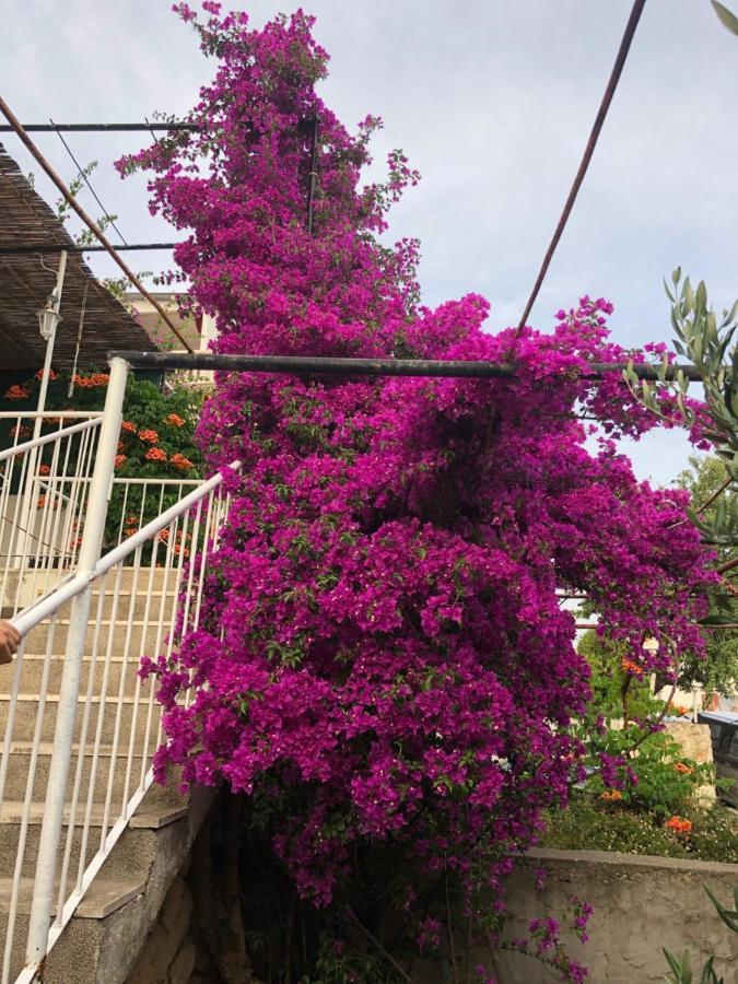 Cozy New Flat For 2 Or 3 Leilighet Hvar Town Eksteriør bilde