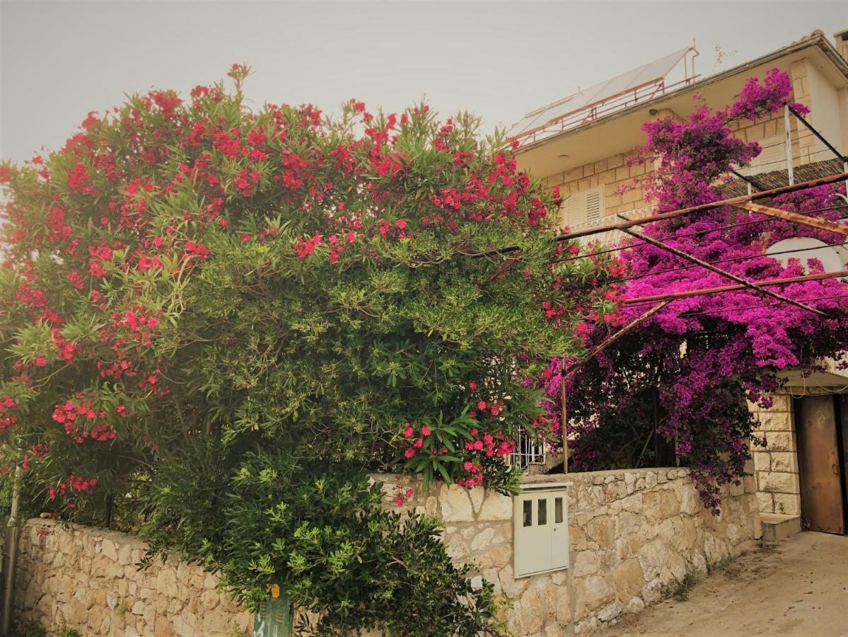 Cozy New Flat For 2 Or 3 Leilighet Hvar Town Eksteriør bilde
