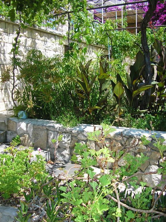 Cozy New Flat For 2 Or 3 Leilighet Hvar Town Eksteriør bilde