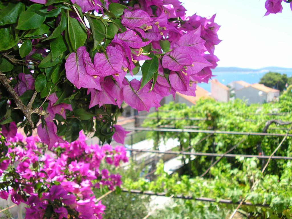 Cozy New Flat For 2 Or 3 Leilighet Hvar Town Eksteriør bilde